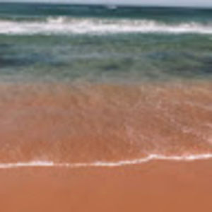 Meet your Posher, Saige